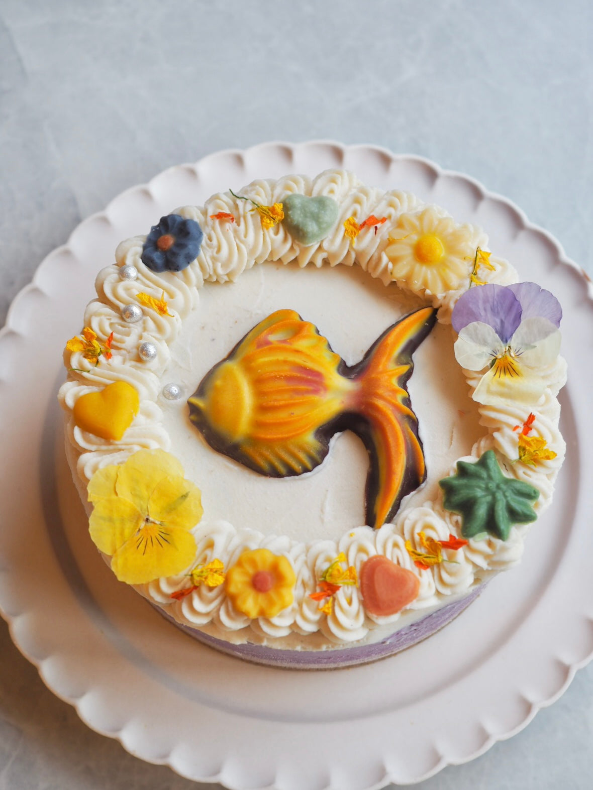ミックスベリーヨーグルト&Rawショコラケーキ (熱帯魚1)