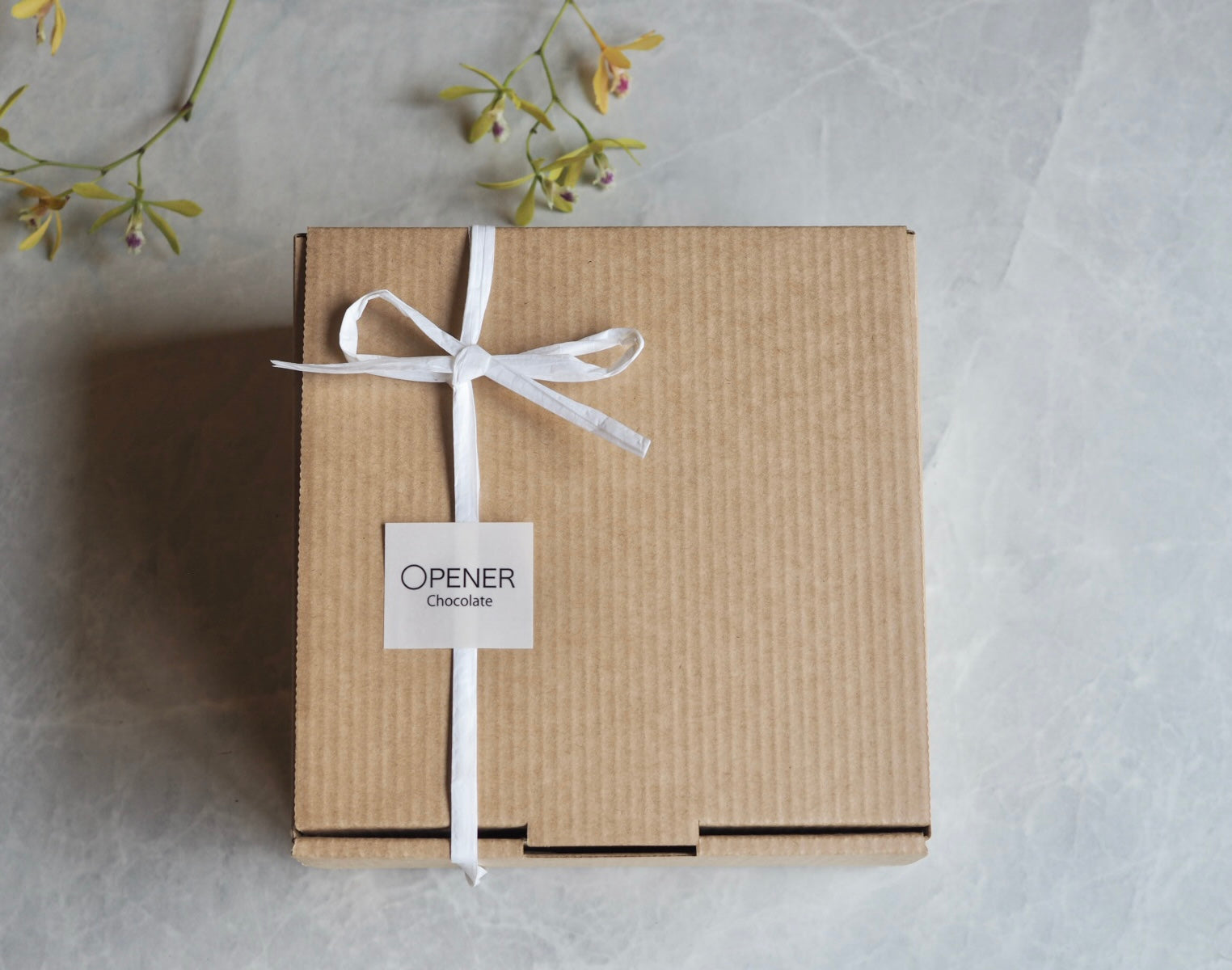 ミックスベリーヨーグルトのクリスマスケーキ(天使)