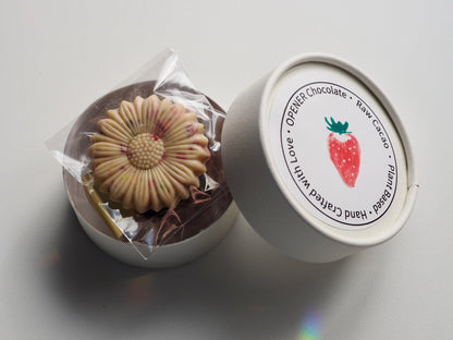 甘酸っぱいローチョコレート ３種セット
